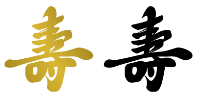 ELECTRICIDAD JAPON